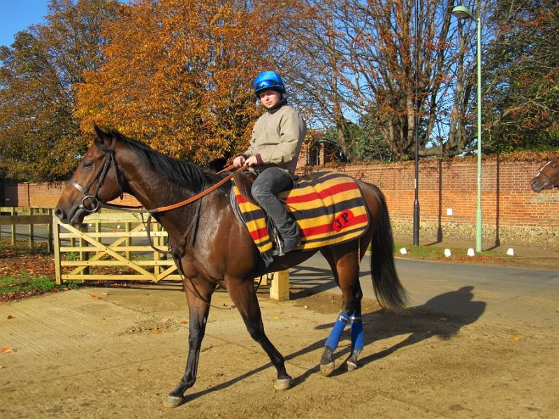 Newmarket_2009_085.jpg
