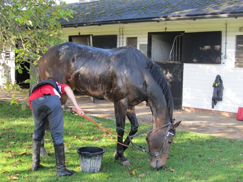 Newmarket_2009_087.jpg