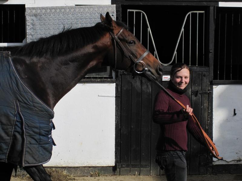 Newmarket_2009_092.jpg