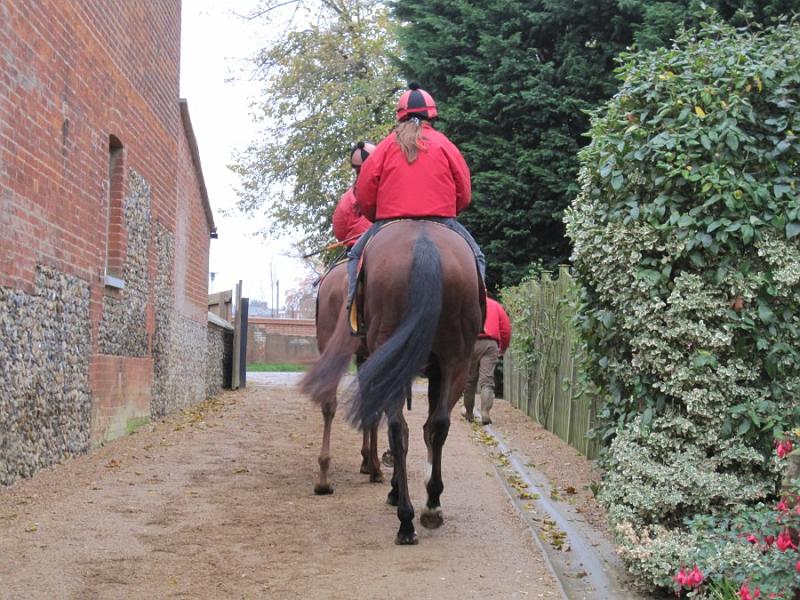 Newmarket_2009_111.jpg
