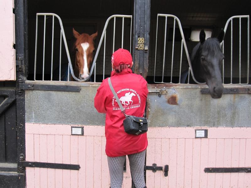 Newmarket_2009_115.jpg