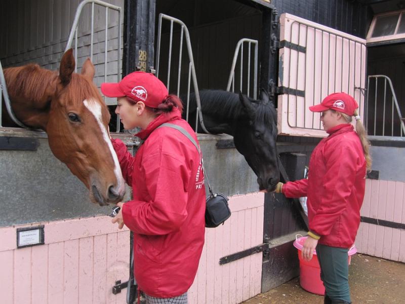 Newmarket_2009_122.jpg