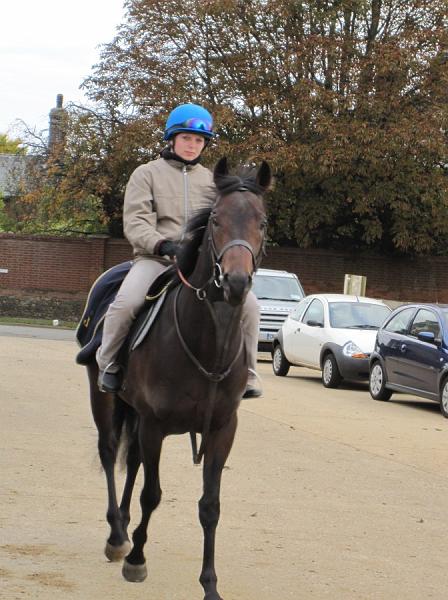 Newmarket_2009_153.jpg