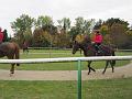 Newmarket_2009_001