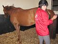 Newmarket_2009_003
