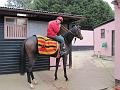 Newmarket_2009_004