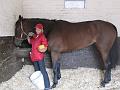 Newmarket_2009_012