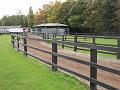 Newmarket_2009_013
