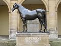 Newmarket_2009_016