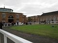 Newmarket_2009_017