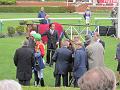 Newmarket_2009_039