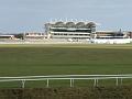 Newmarket_2009_045