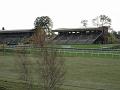 Newmarket_2009_046