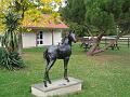 Newmarket_2009_049