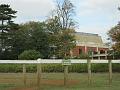 Newmarket_2009_050