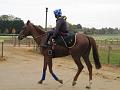 Newmarket_2009_055