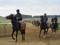 Newmarket_2009_056