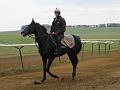 Newmarket_2009_057