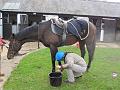 Newmarket_2009_059