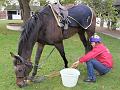 Newmarket_2009_060