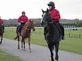 Newmarket_2009_064