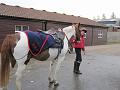 Newmarket_2009_066