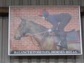 Newmarket_2009_067