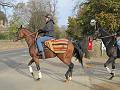 Newmarket_2009_069