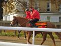 Newmarket_2009_071