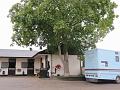 Newmarket_2009_072