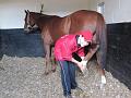 Newmarket_2009_081
