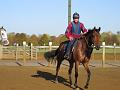 Newmarket_2009_082