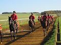 Newmarket_2009_083