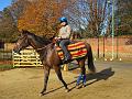 Newmarket_2009_085