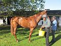 Newmarket_2009_088