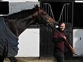 Newmarket_2009_092
