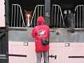 Newmarket_2009_115