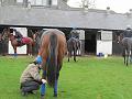 Newmarket_2009_125
