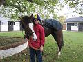 Newmarket_2009_126