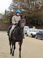 Newmarket_2009_153