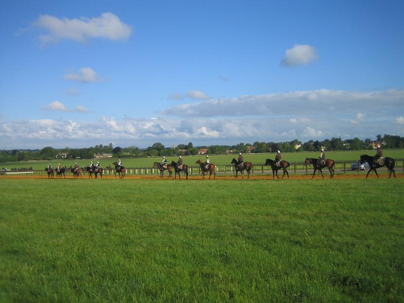 Newmarket_2010_006.jpg