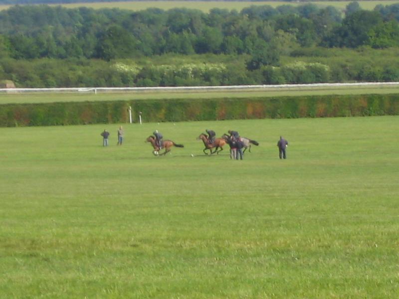 Newmarket_2010_012.jpg