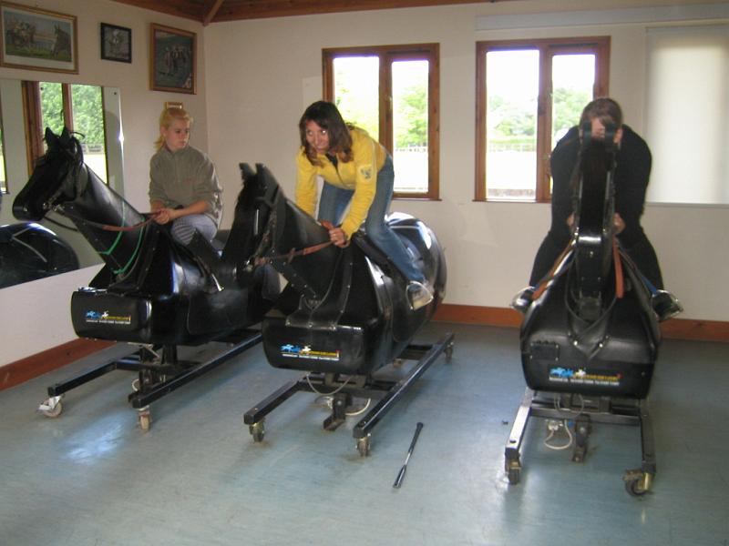 Newmarket_2010_019.jpg