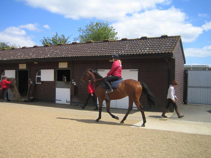 Newmarket_2010_024.jpg