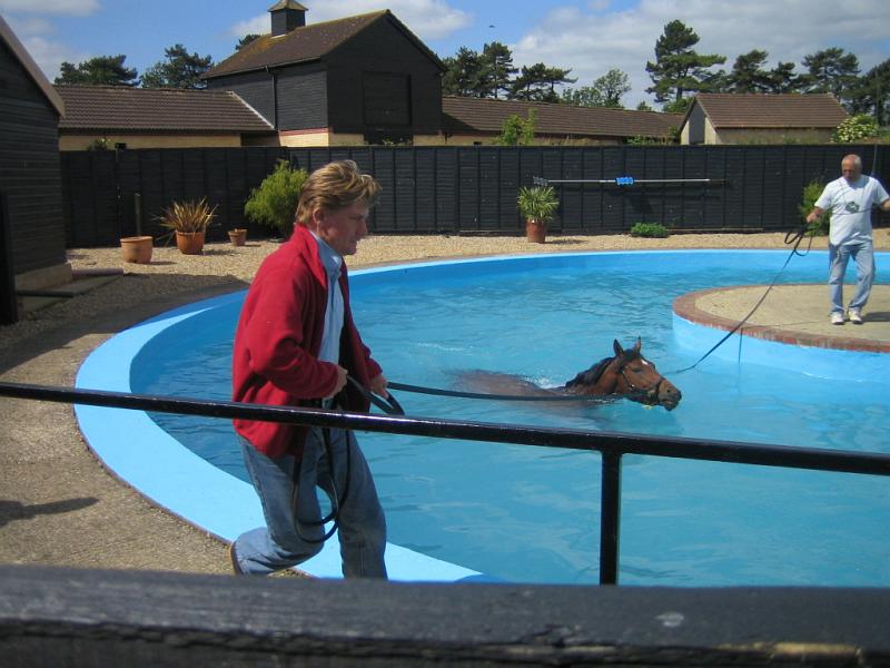 Newmarket_2010_029.jpg