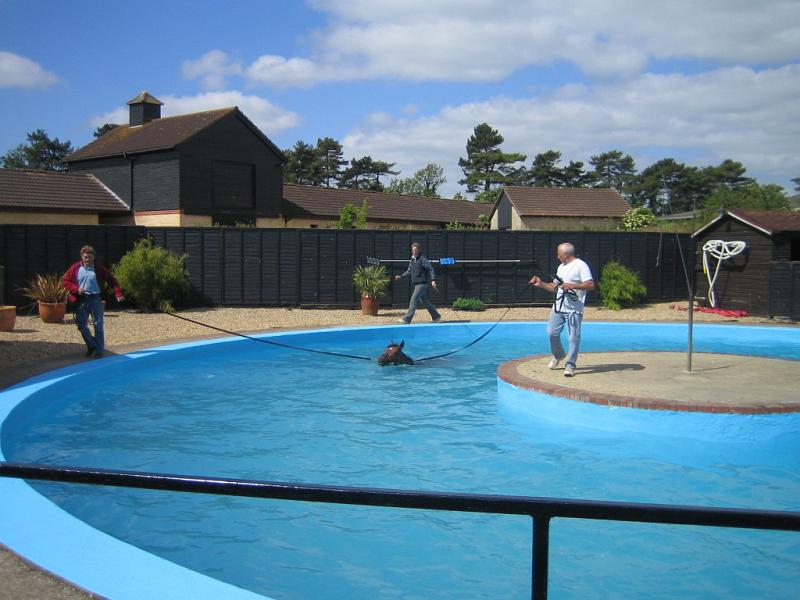 Newmarket_2010_030.jpg