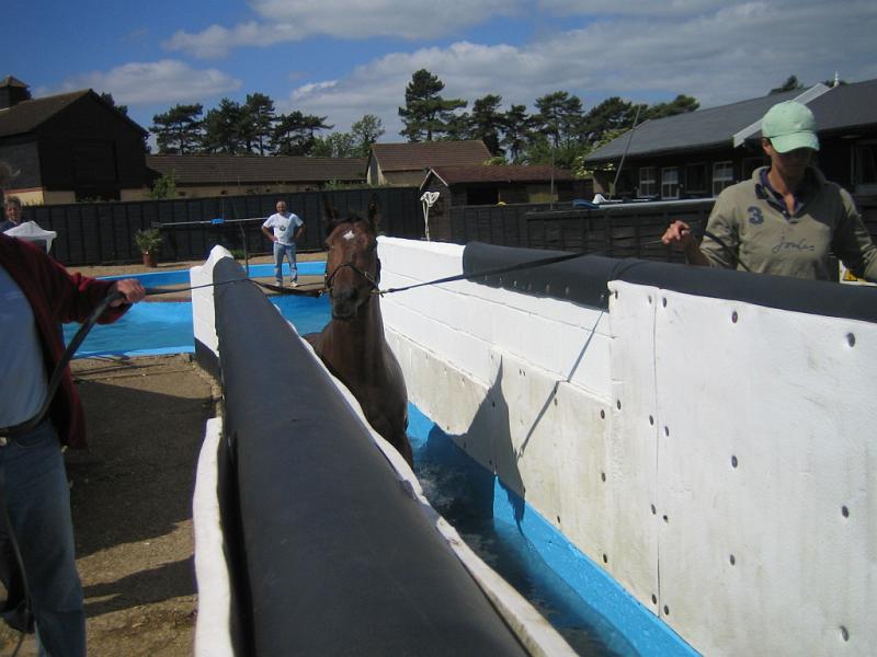 Newmarket_2010_031.jpg