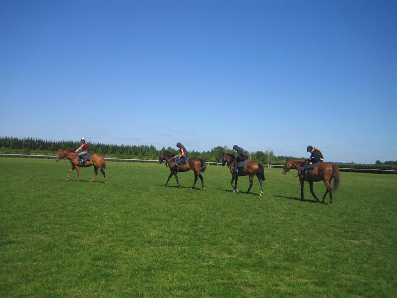 Newmarket_2010_047.jpg