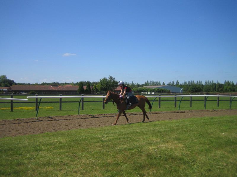 Newmarket_2010_048.jpg