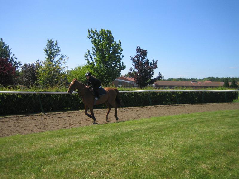 Newmarket_2010_049.jpg